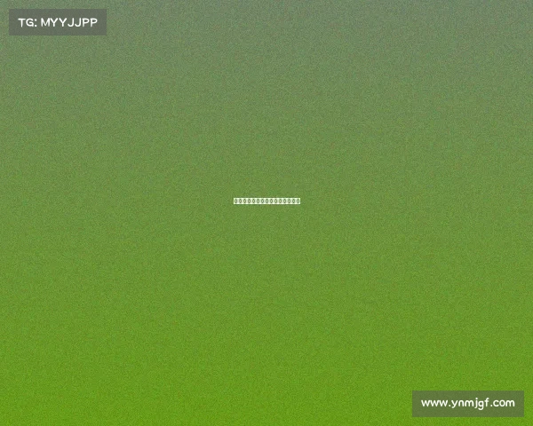 澳网李娜赛事—李娜网球澳网决赛