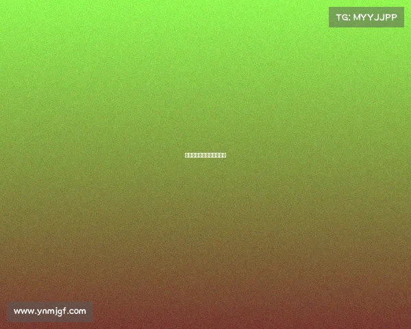 武术没有什么赛事吗为什么