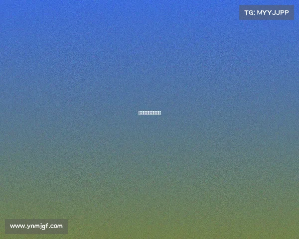 赛事的完整竞赛规程